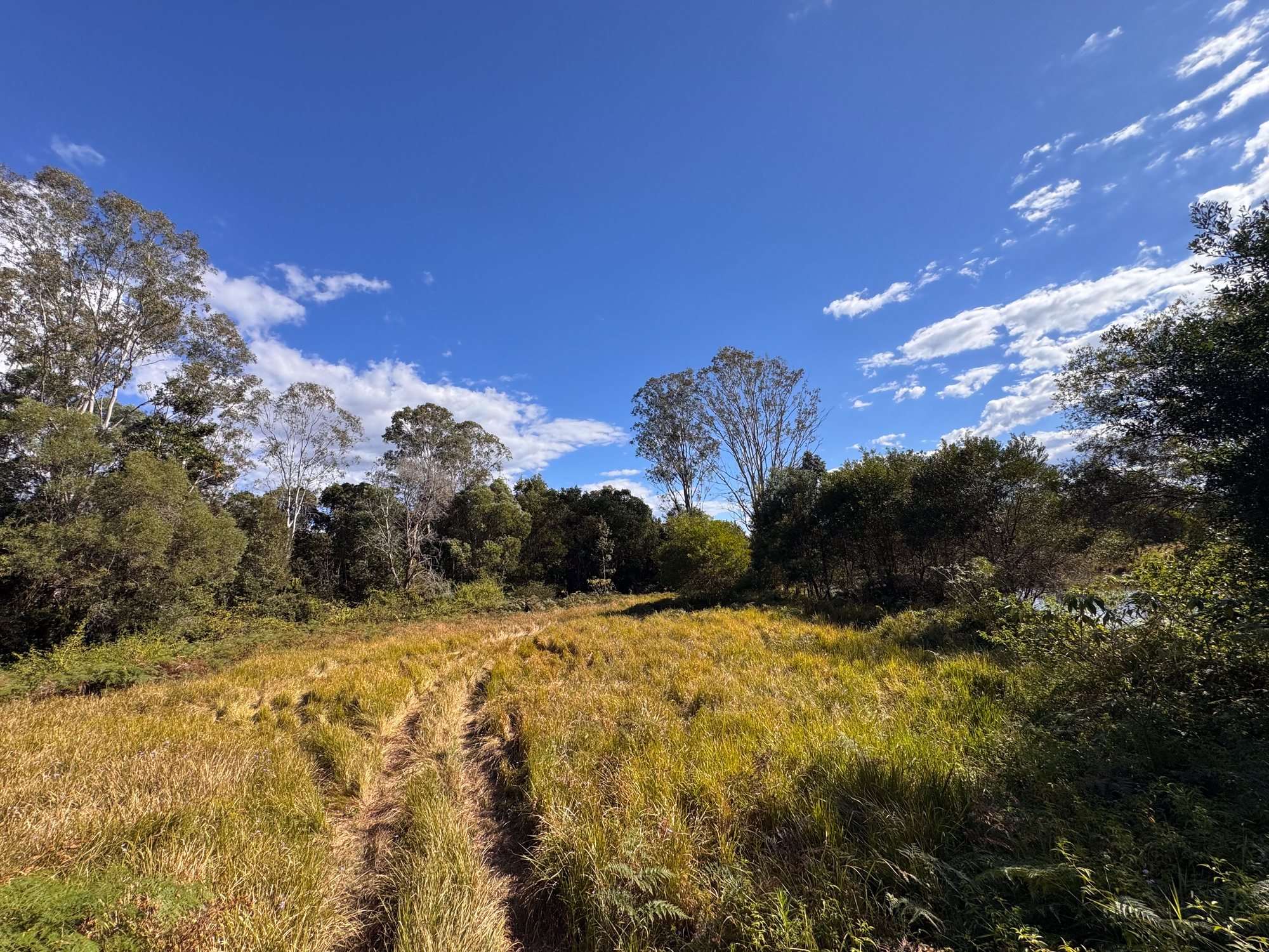 The bushland clearing at Wilderness Outpost, Tuchekoi, with vehicle tracks running in